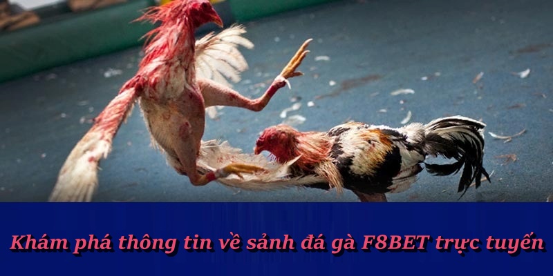 Sảnh chơi hấp dẫn trong đá gà F8BET